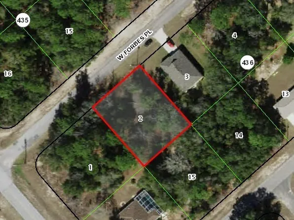 2832 W Forbes Pl, Citrus Springs, FL 34434