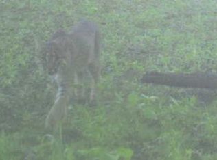 Off Clear Creek Rd, Richwoods, MO 63071