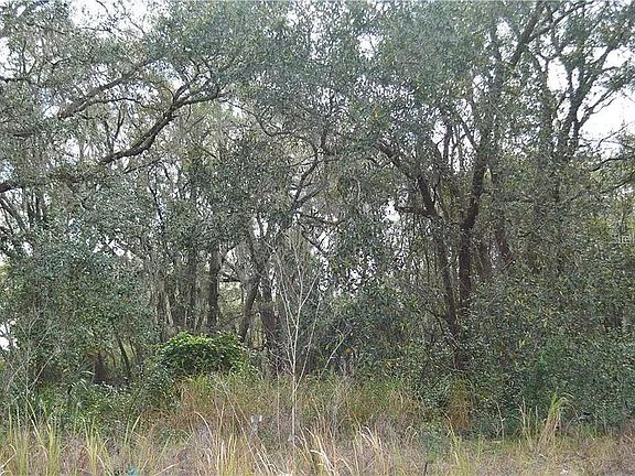 5th image of 1925 N DEAN ROAD LOT 85