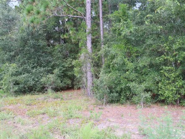 00 SW FLORAL COURT LOT 12, DUNNELLON, FL 34431