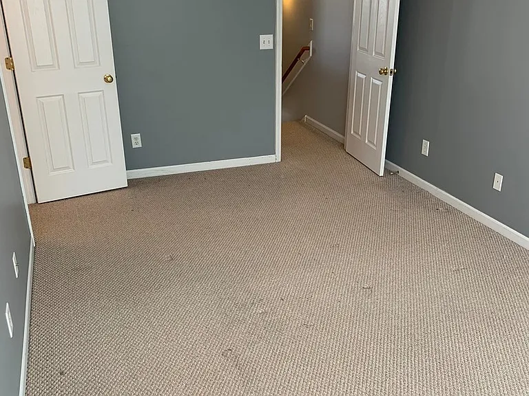 3115 Harpeth Springs Dr — Photo 9