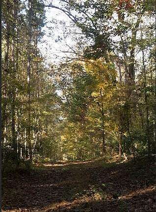3rd image of 1047 Ponder Trammell Rd