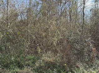LOT 8 Dr Brown Rd, Deridder, LA 70634