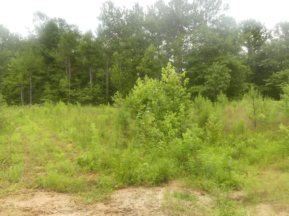 County Road 329 #0, Wedowee, AL 36278