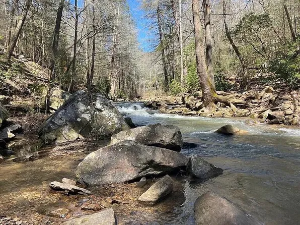 0 Brewers Point Ct, Bryant, AL 35958