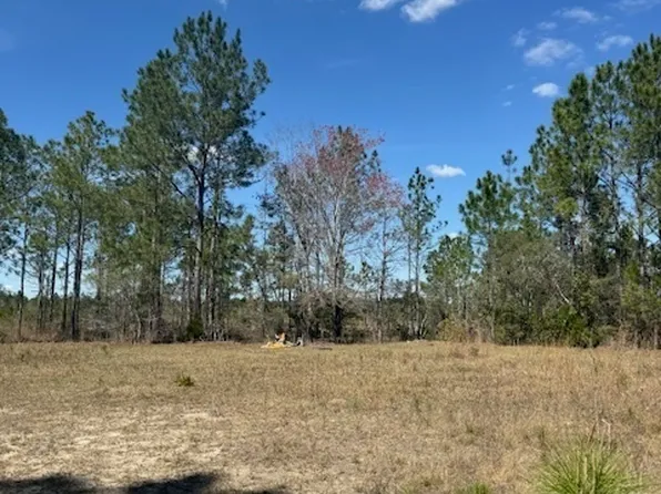 TRACT 74 Bertran Trl, Waycross, GA 31503