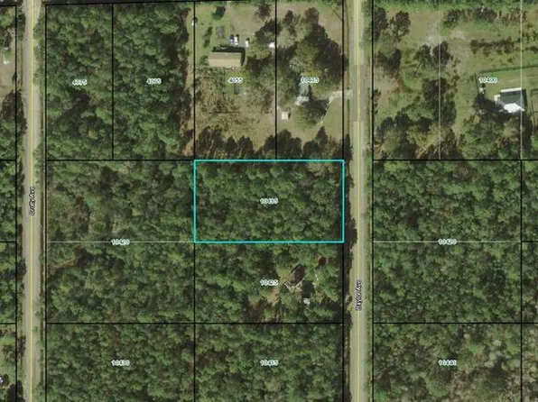 10415 Baylor Ave, Hastings, FL 32145