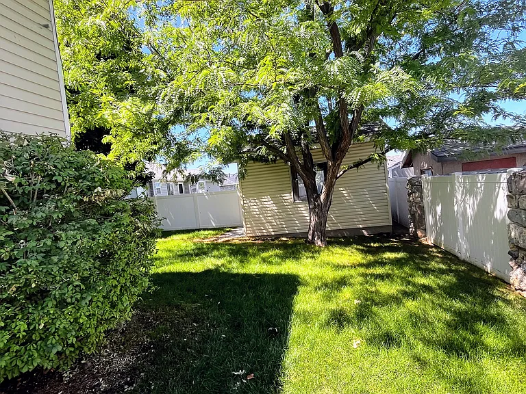Side backyard