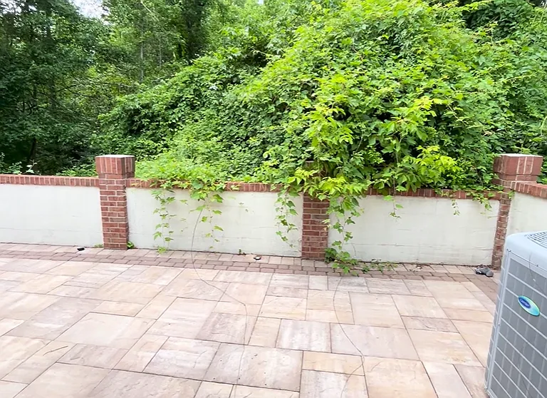 patio access from living room