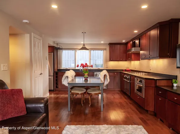 720 W Hopkins Ave #D, Aspen, CO 81611