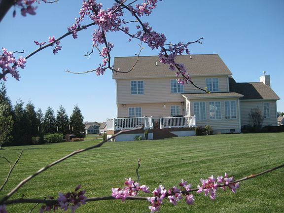 215 Waterfowl Dr back