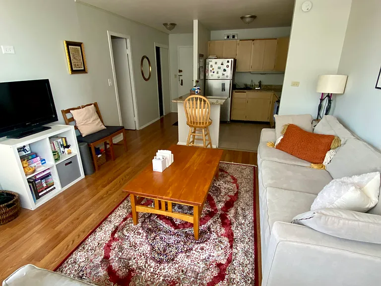 3550 N Lake Shore Dr #423 — Photo 6