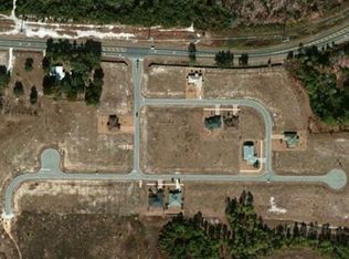 12104 Buttonbush Loop, Leesburg, FL 34788