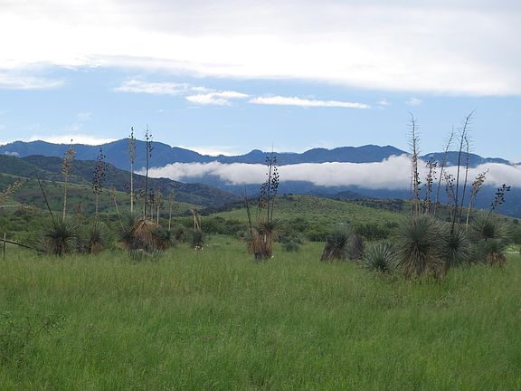 2nd image of E Sunrise Dr #N
