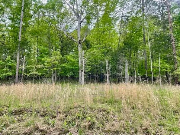 0 Nance Bend Rd, Clifton, TN 38425