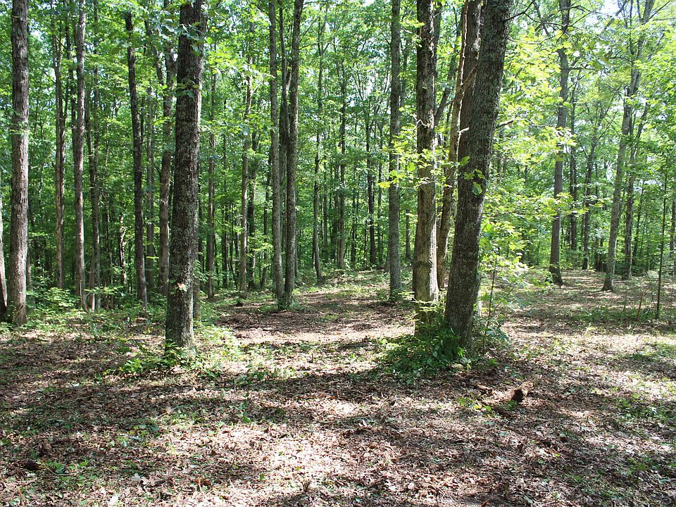 1st image of 325 Overlook Dr