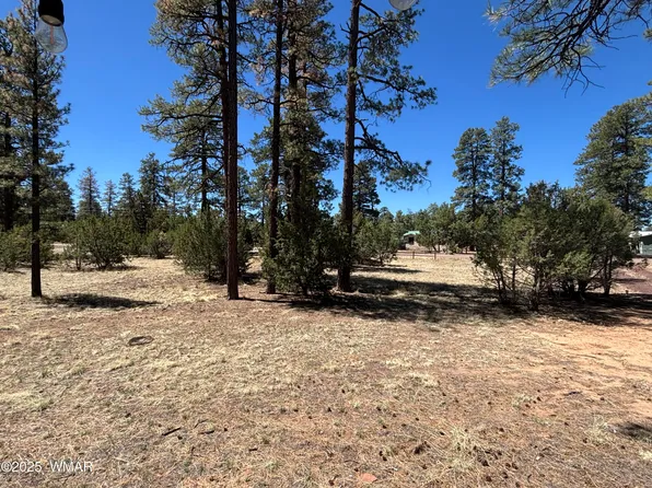 Between 2901 & 2905 Pine Rim Rd, Overgaard, AZ 85933