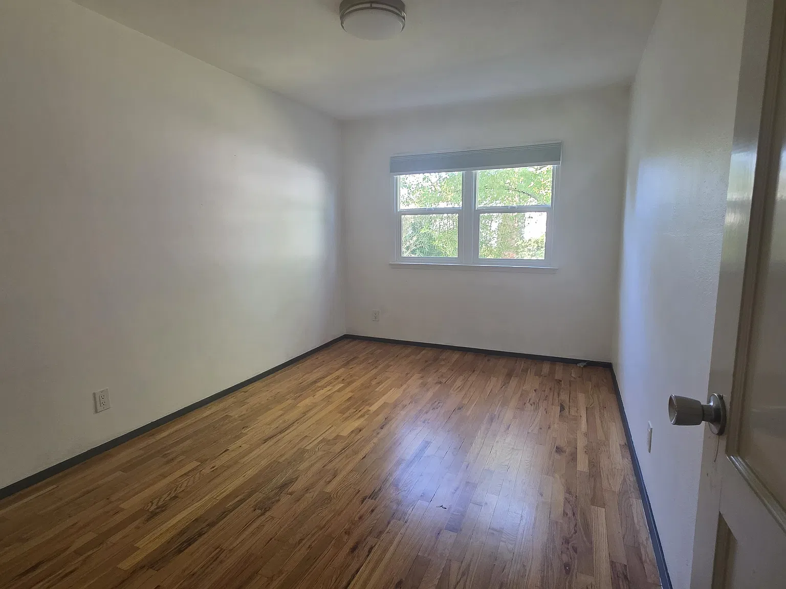 2 bed, 1050 sqft, $1,900 — Photo 3