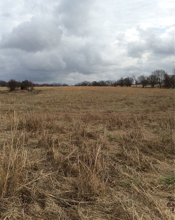 1st image of Off Coller Ln