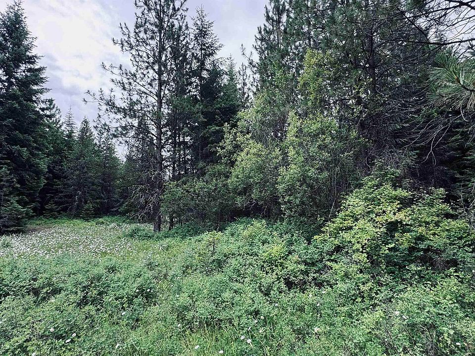 1st image of 58 Bugling Elk Ln
