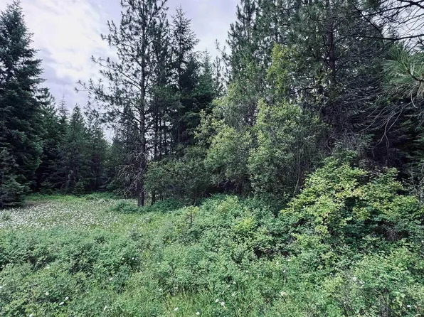 58 Bugling Elk Ln, Weippe, ID 83553