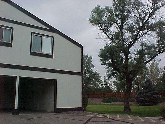 Garage & yard