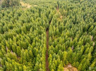 34 xx Graf Road, Centralia, WA 98531