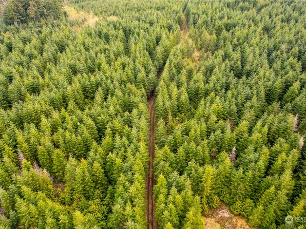 34 xx Graf Road, Centralia, WA 98531