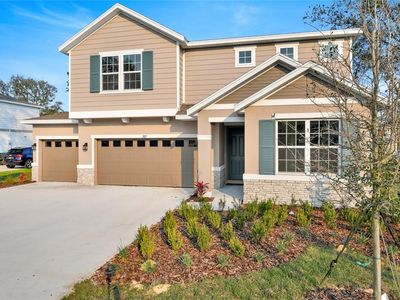 3817 Deer Ridge Dr, Mount Dora, FL, 32757