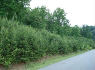 148 View Ridge Pkwy, Leicester, NC 28748