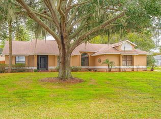 14334 Raintree Blvd, Grand Island, FL 32735