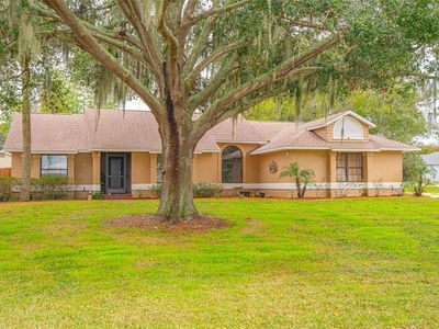 14334 Raintree Blvd, Grand Island, FL, 32735