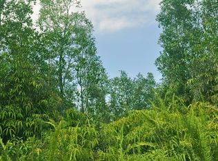 Road 6 Ooaa LOT 4413, Mountain View, HI 96771