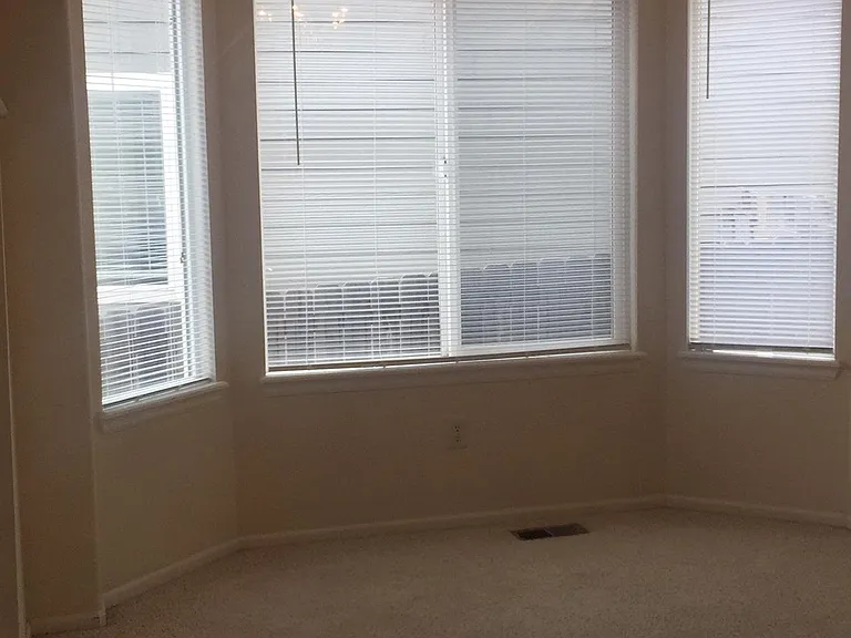 923 Grays Peak Dr — Photo 6