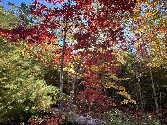 3rd image of 105 Cherokee Path