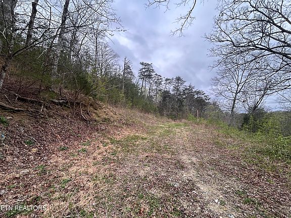 2nd image of Possum Valley Rd