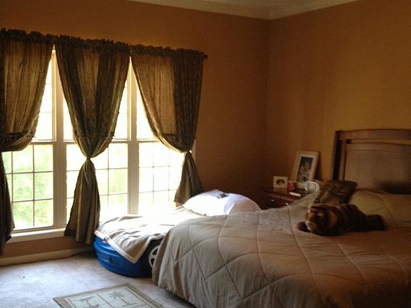 3rd image of 205 Lime Creek Ln