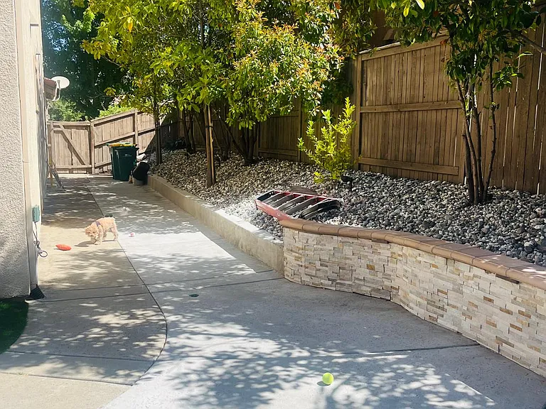 Side Yard