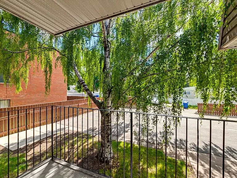 2127 Palm Rd S #2 — Photo 17