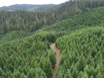 0 Buck Creek Rd, Drain, OR, 97435
