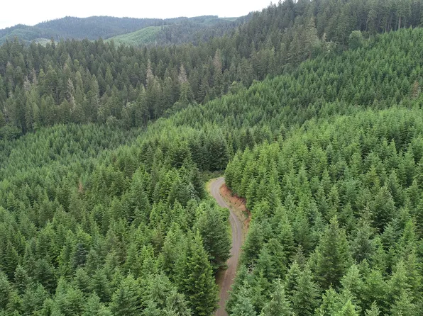 0 Buck Creek Rd, Drain, OR 97435