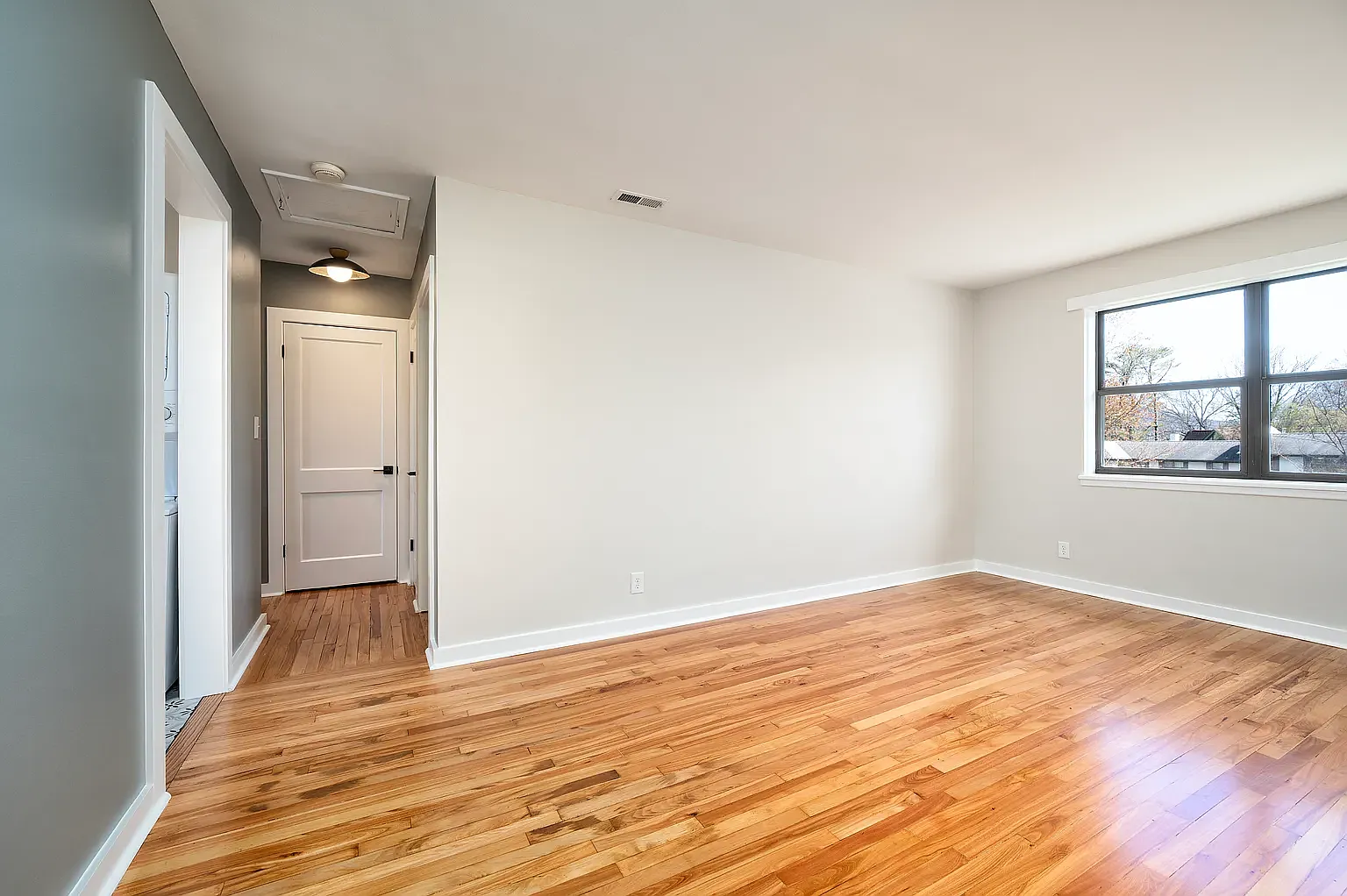 1 bed, 575 sqft, $1,500 — Photo 3