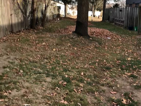 back yard behind the units