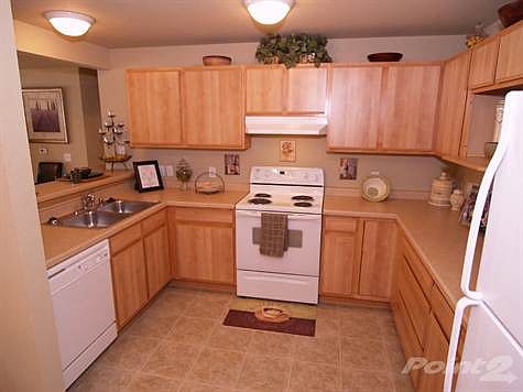 Gourmet Style Kitchen