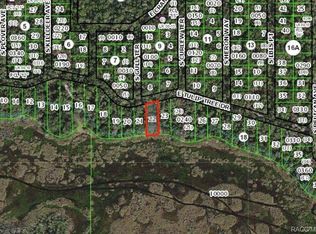 9972 E Tuliptree Dr, Inverness, FL 34450