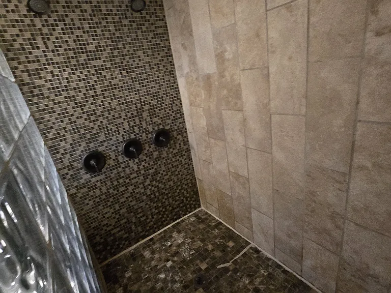 Master walk in shower