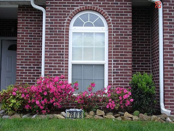 2nd image of 7808 Ellisville Ln