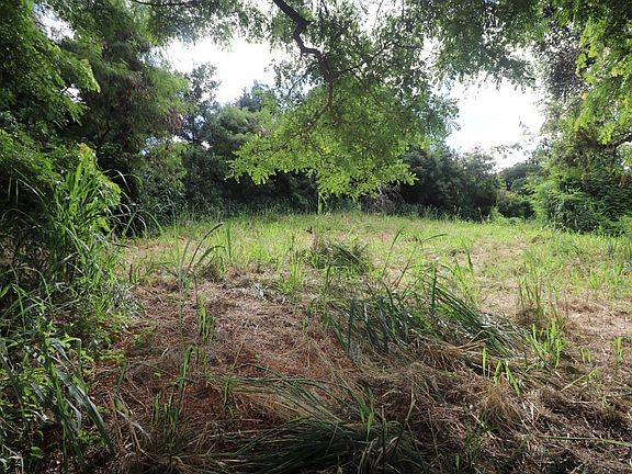 3rd image of Kamuku Pl