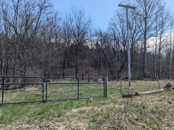 V/l Butwell 1 Rd, Bear Lake, MI 49614