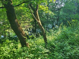 4A155 N Apple Canyon Ln, Apple River, IL 61001